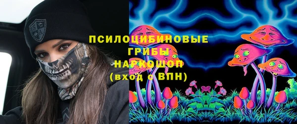 бошки Абаза