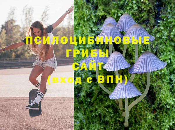 соль ск Няндома
