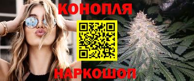 сатива Тула
