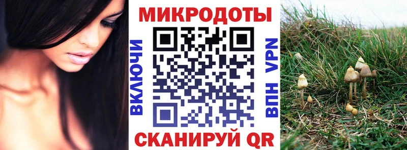 Галлюциногенные грибы GOLDEN TEACHER  Прокопьевск 
