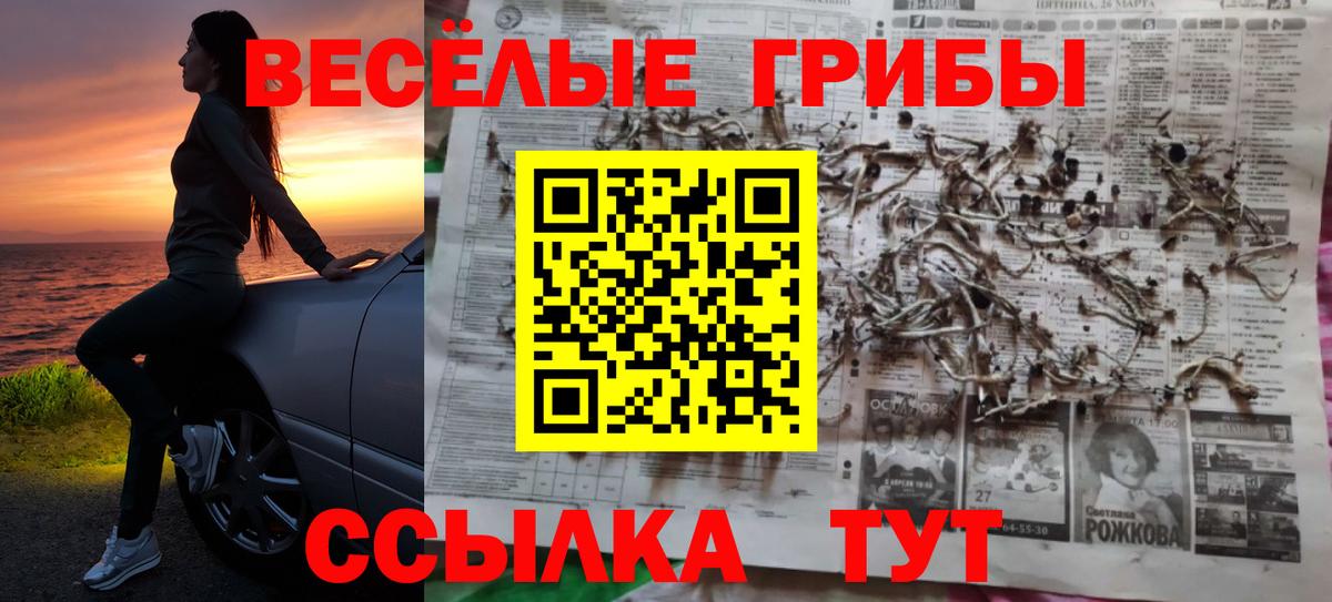 Галлюциногенные грибы Cubensis Прокопьевск