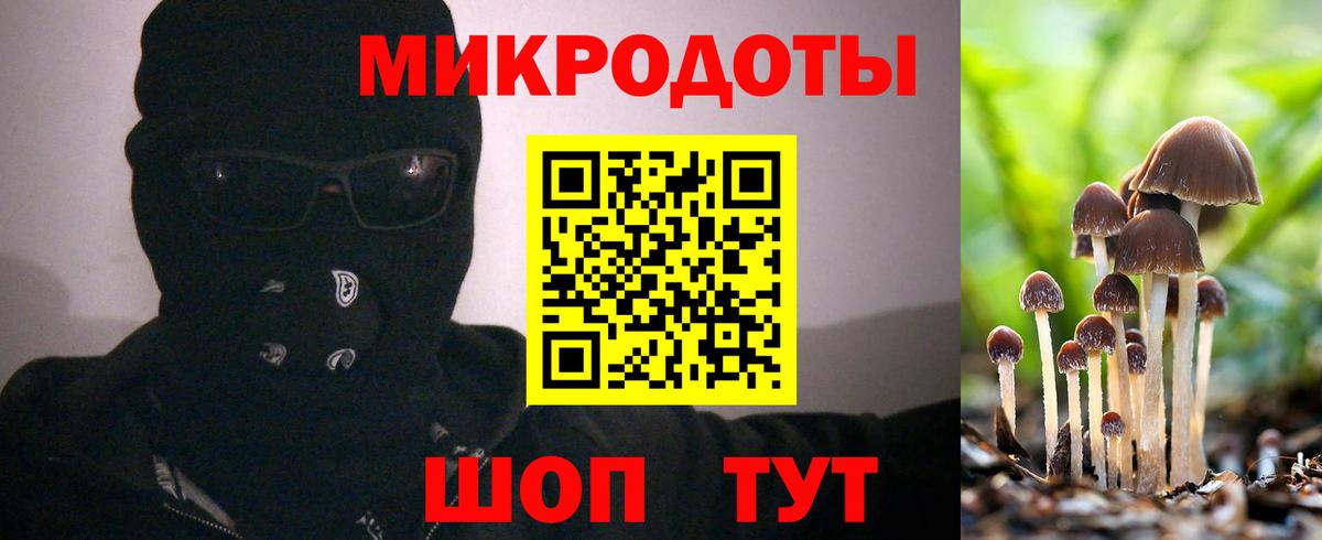 Галлюциногенные грибы мицелий  Вход с VPN  Прокопьевск  Галлюциногенные грибы GOLDEN TEACHER 