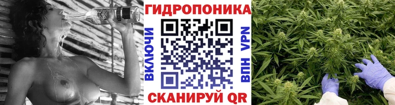 MEGA вход  Прокопьевск  Конопля AK-47  наркотики 